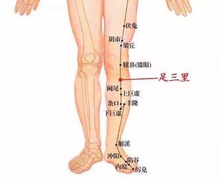 气血不足？艾灸帮您调气血！|养生知识-南阳宛艾产业协会