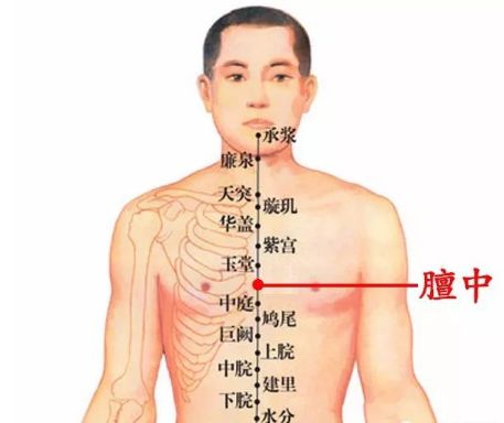 气血不足？艾灸帮您调气血！|养生知识-南阳宛艾产业协会