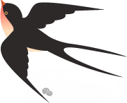 狗狗币和波场币哪个好_波动狗图片_狗狗币的市场波动性分析：投资者应如何应对风险