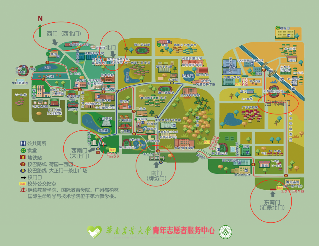 刘应亮 华南农业_华南农业大学树木园_华南农业大学宿舍管理