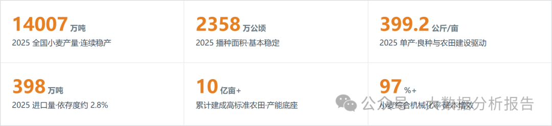 核心结论速览