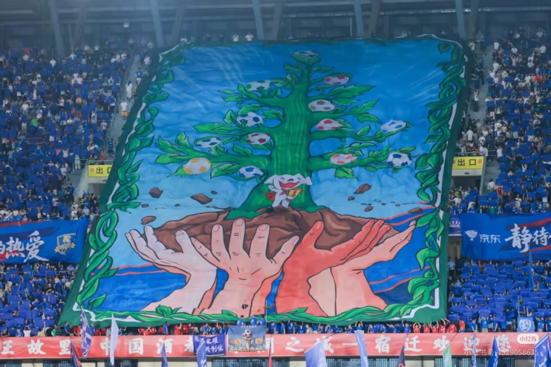 苏超镇江队球迷拉出巨型Tifo