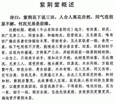 田氏与紫荆堂的传说,战国时期,齐国王子田完的后人田真(大将)他兄弟三人要分家,闹的不可开交,忽然发现院子里那棵原本枝繁...