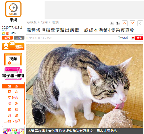 又一短毛猫粪便验出新冠病毒，可能是香港第4只染疫宠物