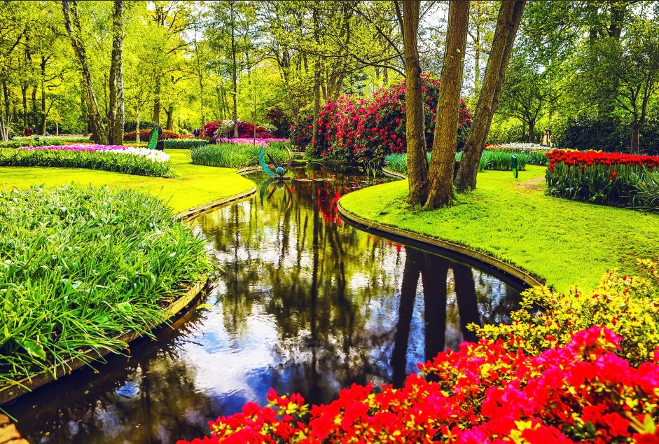 這裡有世上最美的春天，一花一世界，一水一荷蘭！ 未分類 第9張