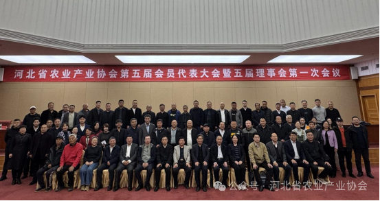 图片2_副本