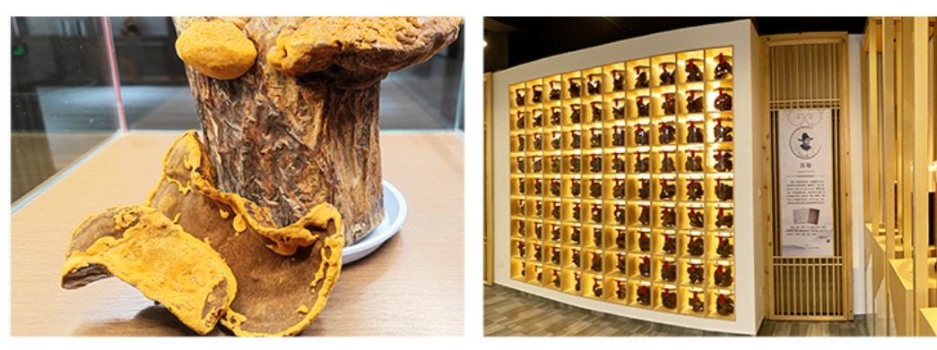 致敬每一位女性，愿健康常伴。(图4)