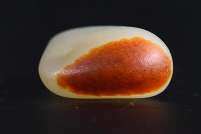 天价和田玉籽料的七种皮色特征!_璞玉雅藏官网