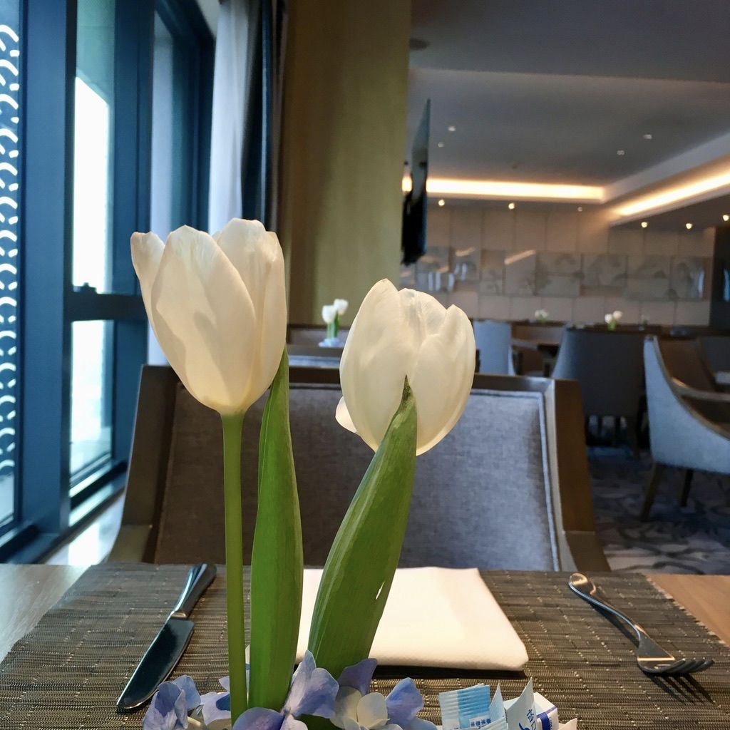 希尔顿酒店集团公司介绍_希尔顿酒店集团公司招聘_希尔顿酒店集团公司