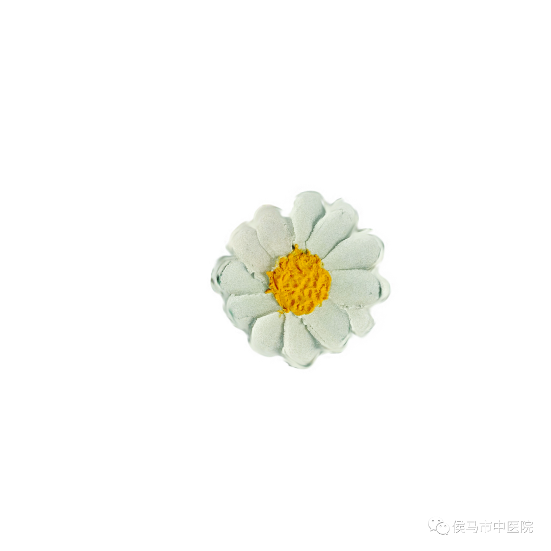  侯马市中医院首届“赏梅周”活动圆满结束！(图6)