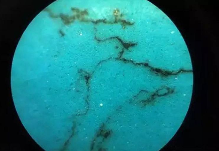 【小火说】史上最全的绿松石鉴定攻略，没有之一！