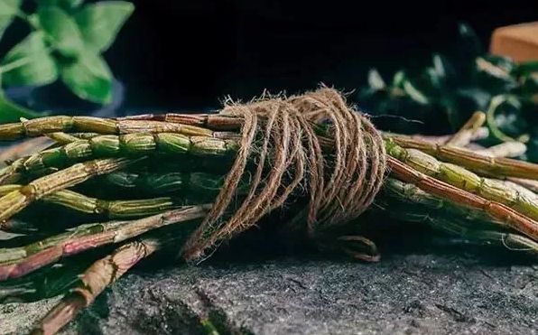 铁皮石斛的8大疗效，4大吃法