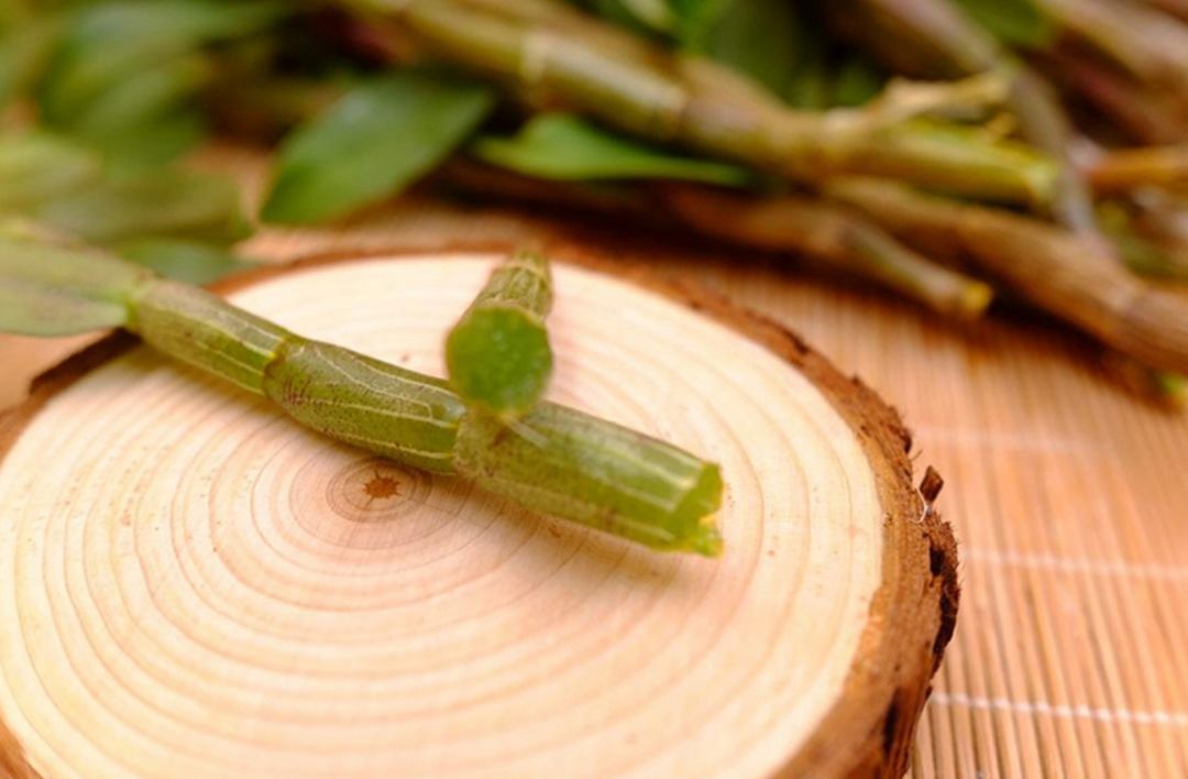 铁皮石斛：看似野草，营养却非常全面！