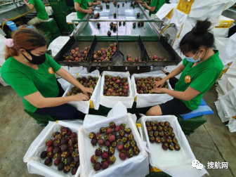 跨境电商 | 泰国政府参与618，上线“国家店”开通跨境“水果专列”直送中国