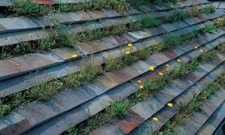 艺术与设计 日本建筑的两种解读 红派建筑与白派建筑