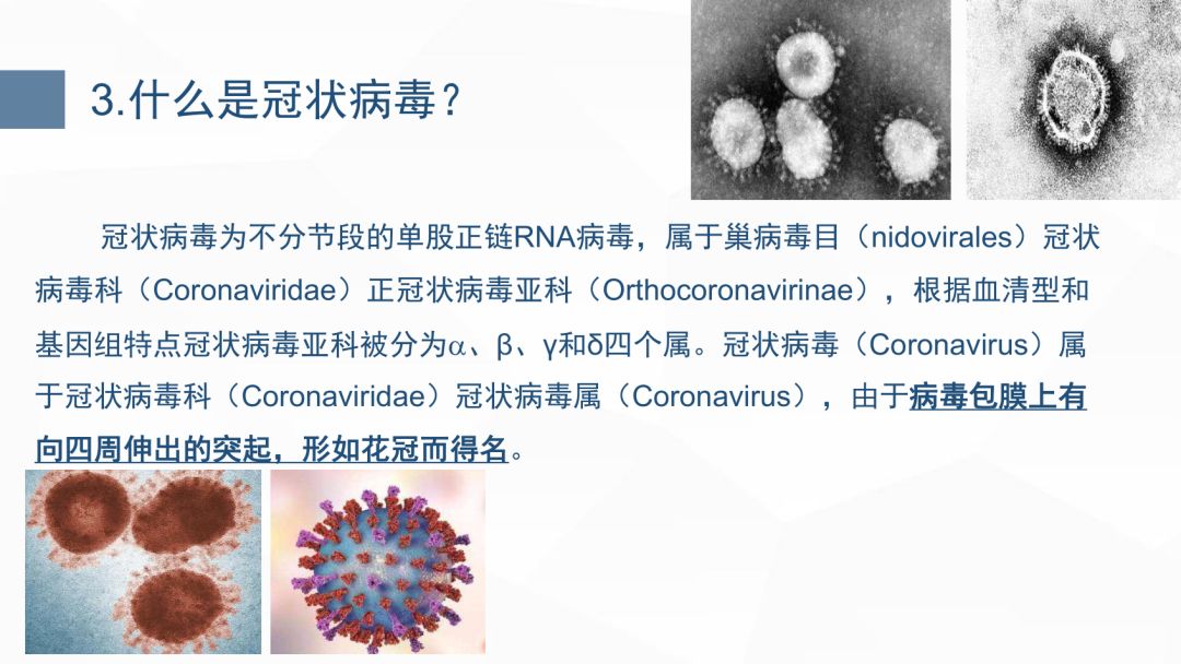 香港六今宝典