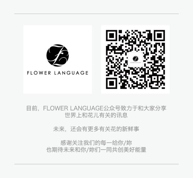 11月3日天蝎星座花 葫芦泻根 鹿舌草 Flowerlanguage花时间 微信公众号文章阅读 Wemp