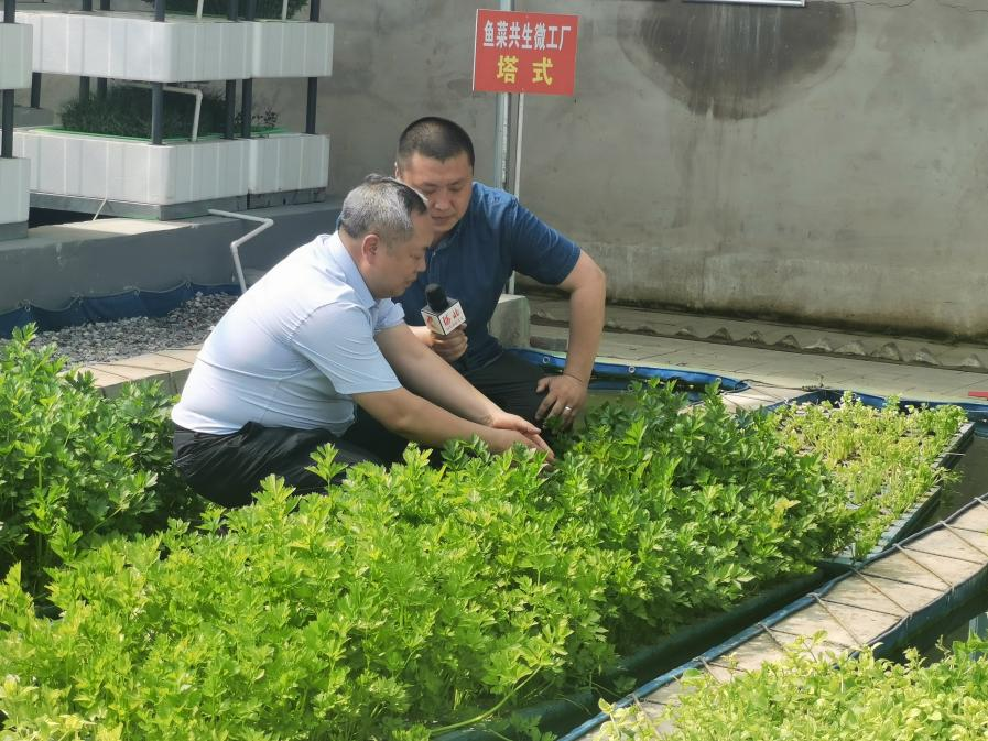 创业类大创项目申报书_大创创业项目如何结项_10大创业项目