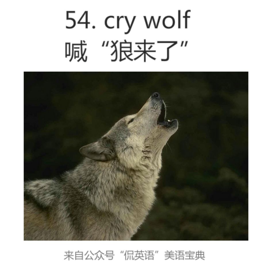 打卡 英文成语 Cry Wolf 可不是 哭泣的狼 侃英语 微信公众号文章阅读 Wemp