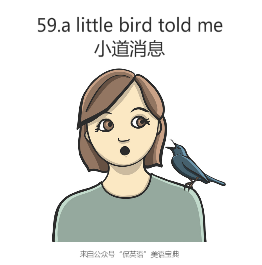 打卡 小道消息 英语怎么说 侃英语 微信公众号文章阅读 Wemp