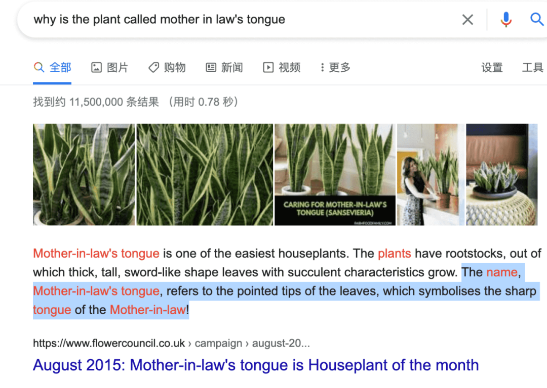 吃粽子英语_粽子的英语是_粽子用英语怎么讲