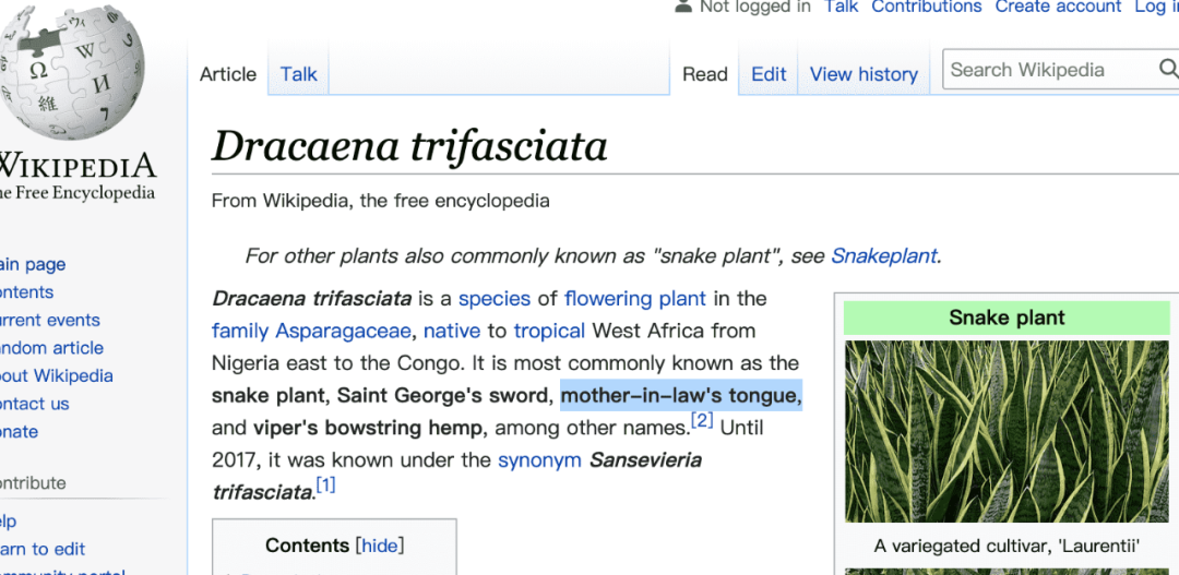 粽子用英语怎么讲_粽子的英语是_吃粽子英语