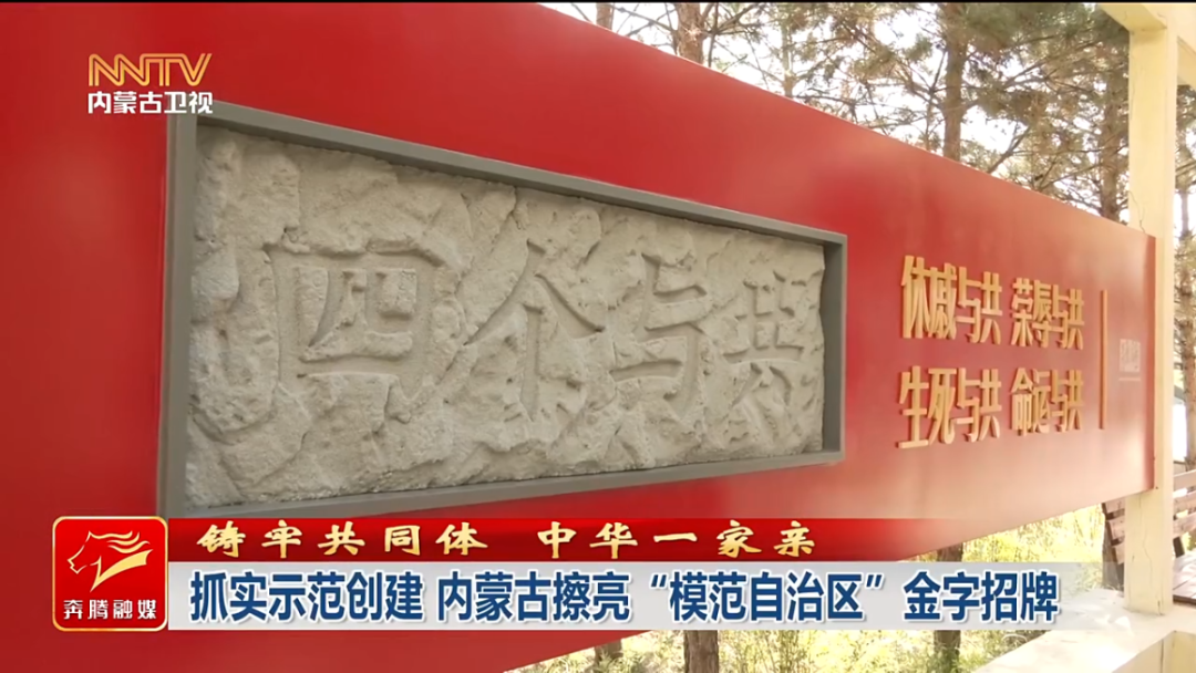视频截图