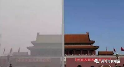 从空气、水源、食品、医院4个方面分析为何要养生，为何要喝黑茶