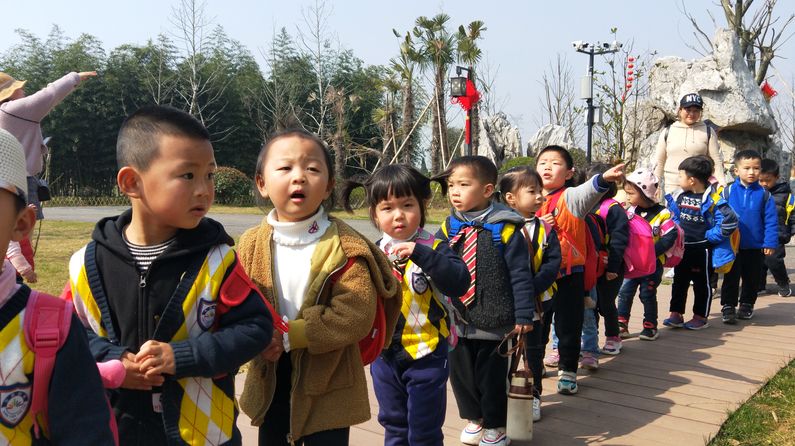 森宇控股集团