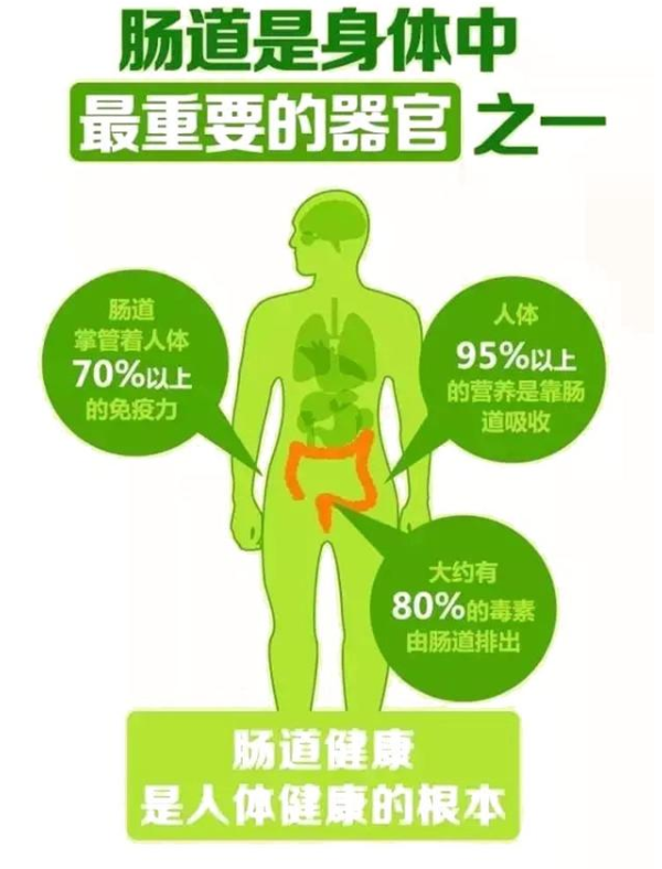 结肠水疗仪怎么操作【重塑肠道健康】肠道水疗 祝您肠“轻”——给您的肠道做个SPA_https://www.jmylbn.com_新闻资讯_第3张