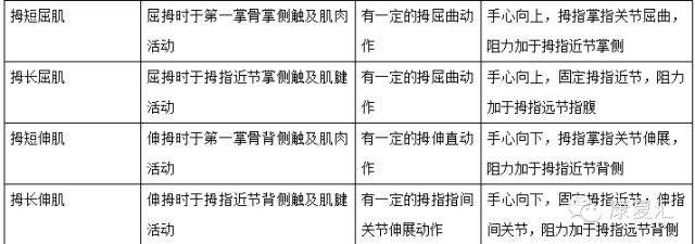 怎么评估病人肌力徒手肌力评估MMT（含评定分级标准及方法）_https://www.jmylbn.com_新闻资讯_第11张
