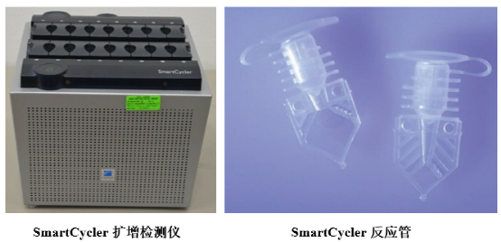 pcr管是什么各具特色的PCR反应管_https://www.jmylbn.com_新闻资讯_第1张