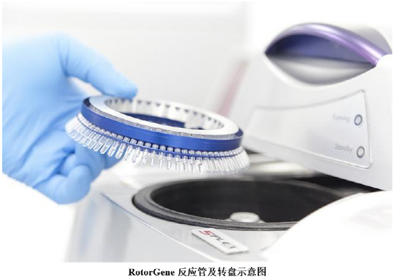 pcr管是什么各具特色的PCR反应管_https://www.jmylbn.com_新闻资讯_第6张