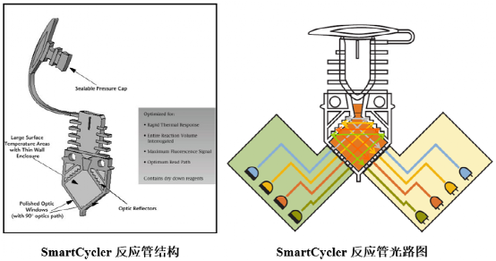 pcr管是什么各具特色的PCR反应管_https://www.jmylbn.com_新闻资讯_第3张