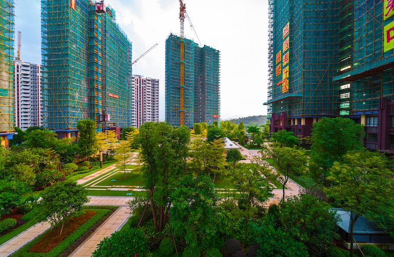 百盈花园2019广宁迎春花市攻略来了