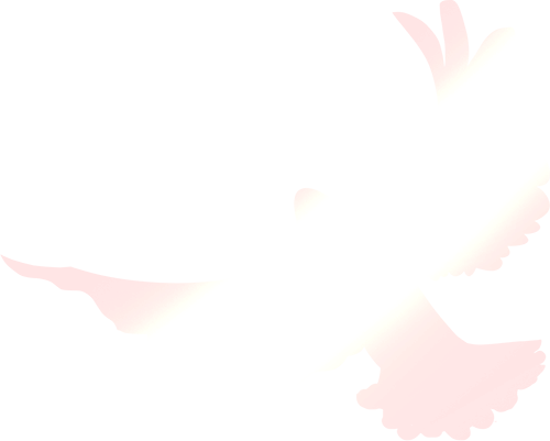 修水一中_修水一中宣傳片_修水一中學(xué)