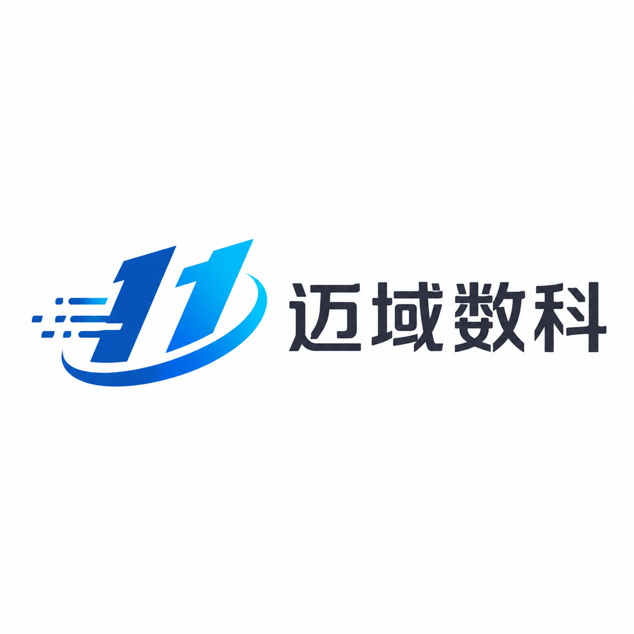 迈域数科