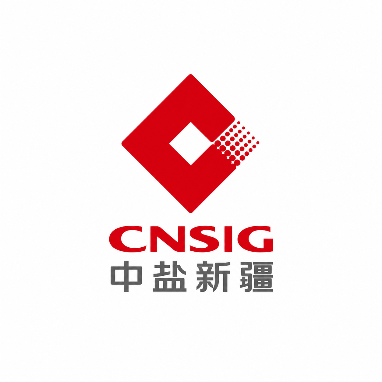 中盐新疆公司