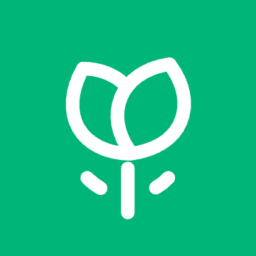 淼淼科技