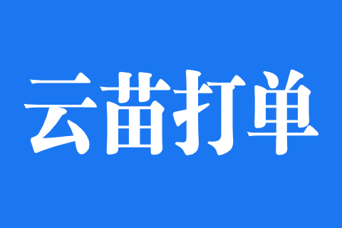 云苗测试版本2
