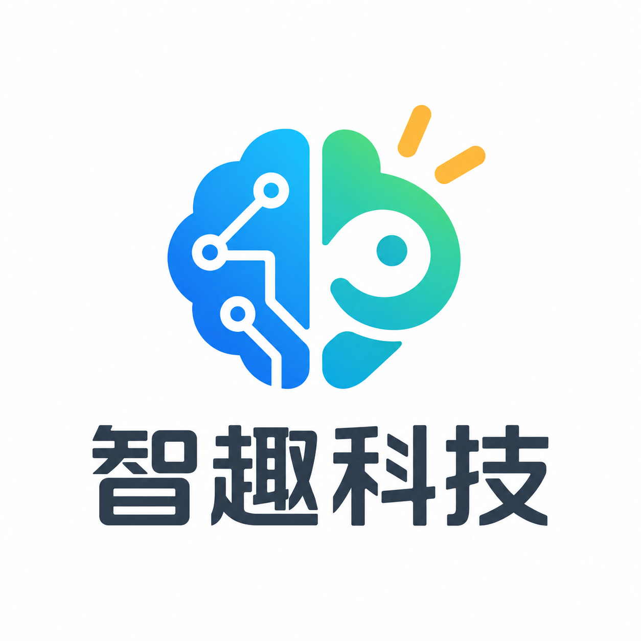 智趣科技