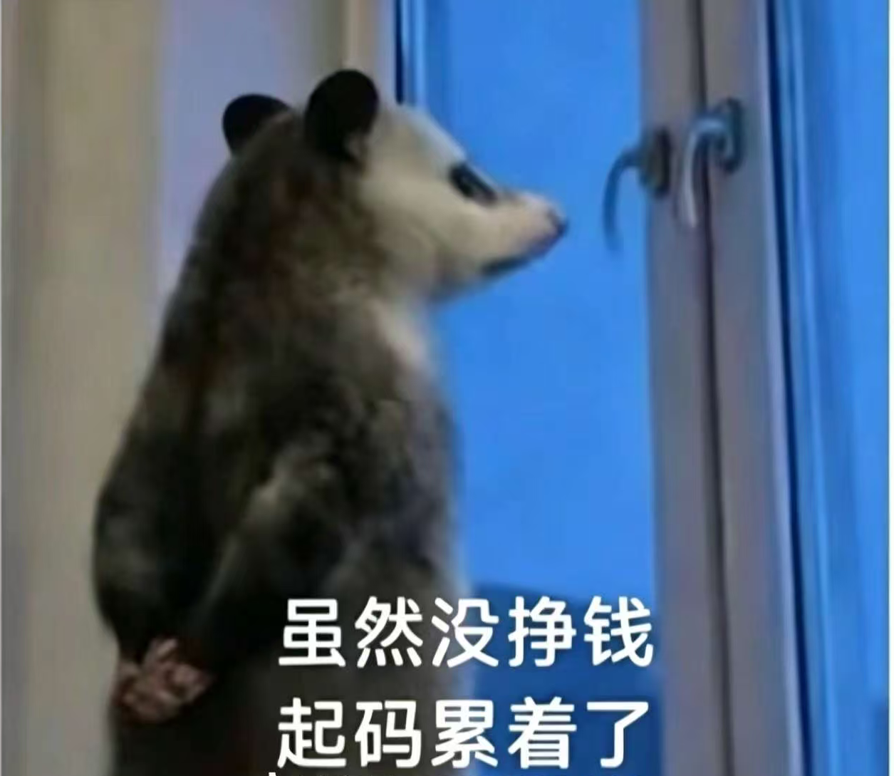 今贝