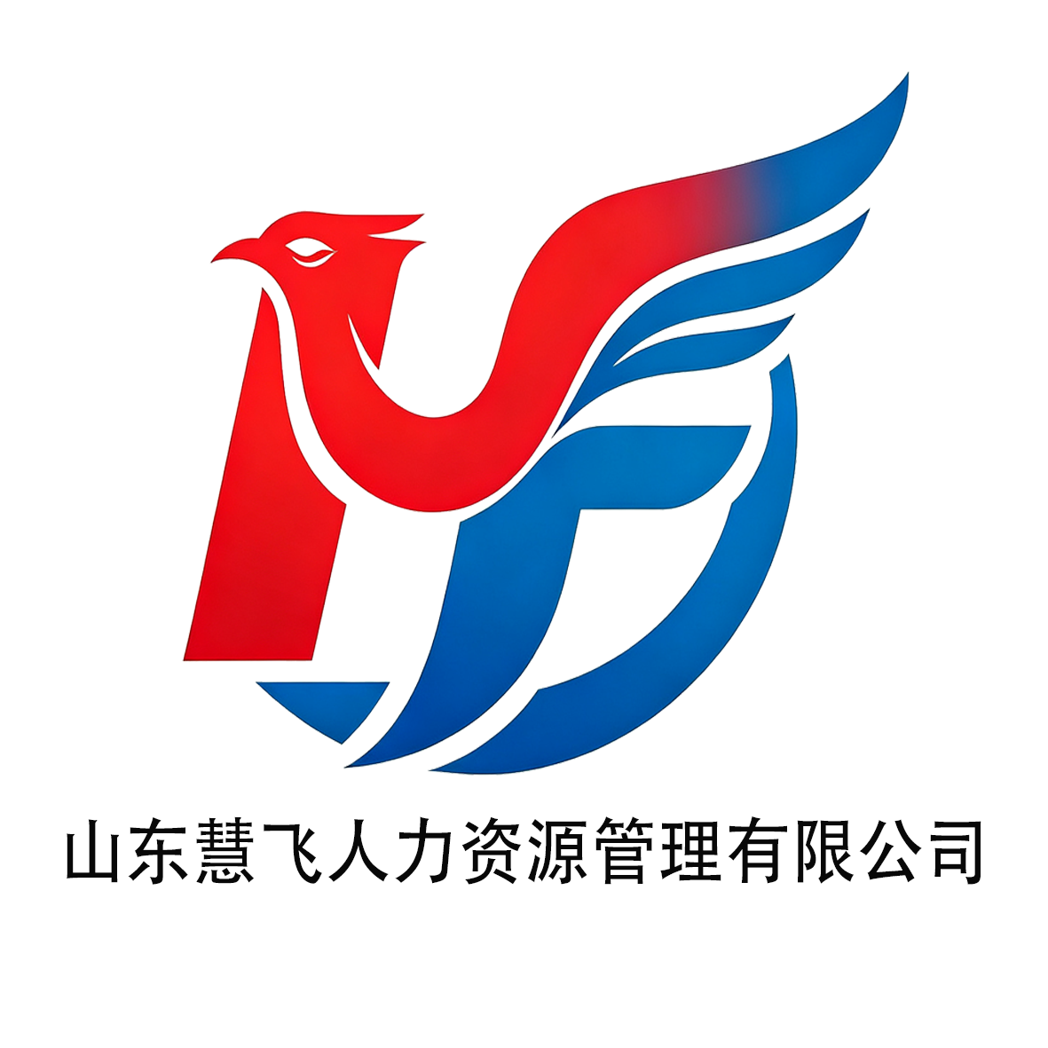 山东慧飞人力资源管理有限公司