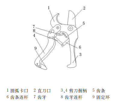 医用剪刀怎么选规格产品｜医用剪刀_https://www.jmylbn.com_新闻资讯_第5张
