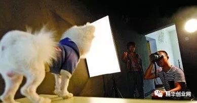 创业项目排行榜创业项目加盟店_宠物写真创业项目_小城市创业好项目自主创业