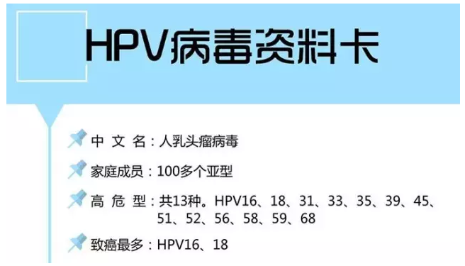 hpv是什么病?