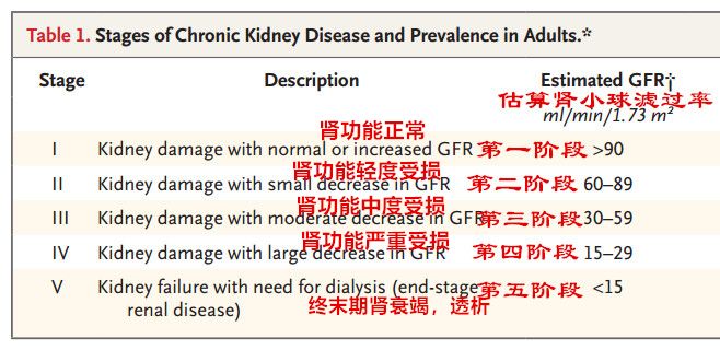 腎病到了這個階段 降肌酐原來並不重要 正確的治療方向是 尋夢新聞