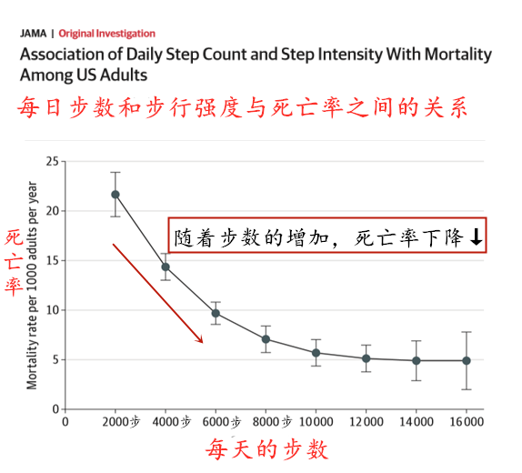 這種運動，腎臟最喜歡！很多醫生推薦 健康 第3張