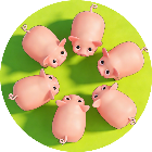 全民救猪猪闯关游戏