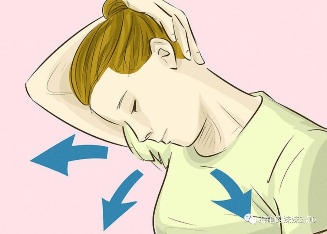 人未老 脖子先老 这很悲伤 海龟的妹妹2点0 微信公众号文章阅读 Wemp